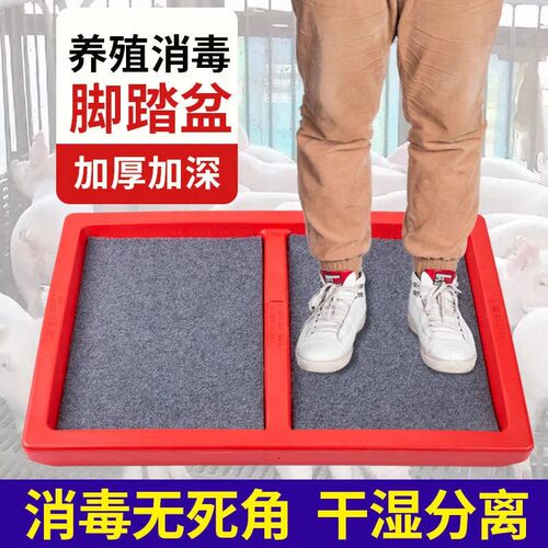 鞋底消毒猪场设备脚踏盆