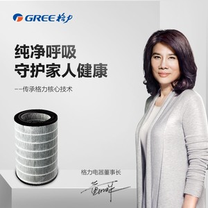 格力格力空气净化器滤芯KJ200G-B01 350G-A01 520G-A01 甲醛滤芯