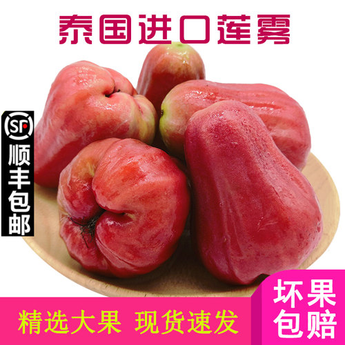 顺丰包邮歌慕泰国水果应季莲雾