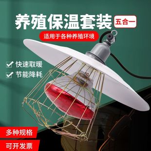 仔猪小鸡取暖灯泡灯罩可调温度加热带线 畜牧养殖兽用保温灯套装