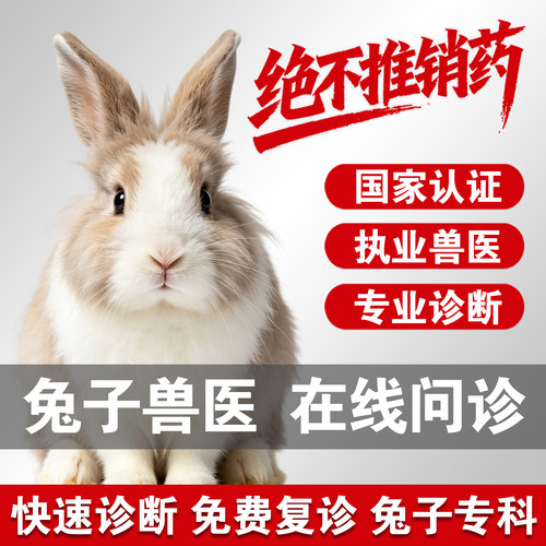 兔子问诊宠物医生在线问诊24小时兔子医生兔子看病咨询兽医兔问诊