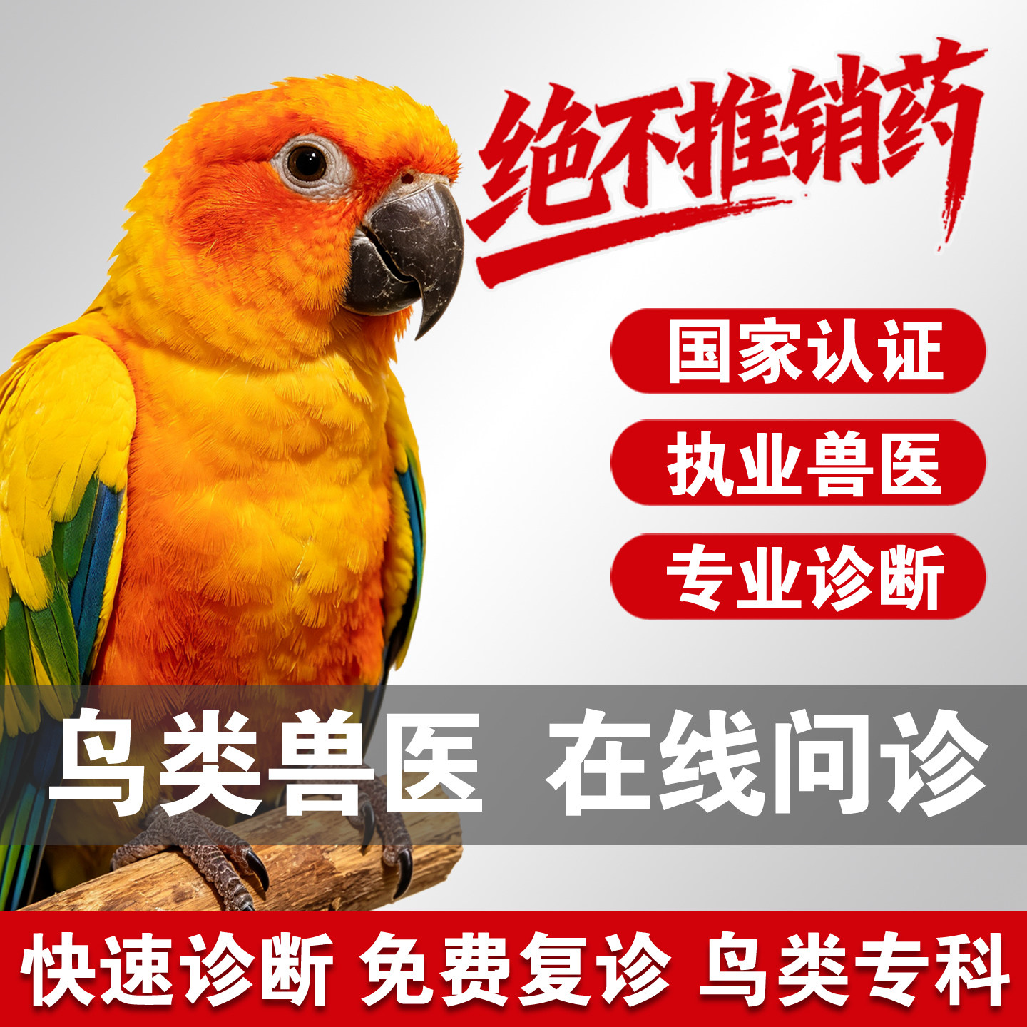 鹦鹉问诊鸟问诊宠物医生在线问诊在线问诊