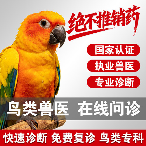 鹦鹉问诊鸟问诊宠物医生在线问诊24小时异宠问诊虎皮玄凤鹦鹉医生