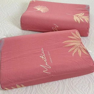 纯棉乳胶枕套单人儿童27X45cm全棉一对装枕头套四季成人60X40记忆