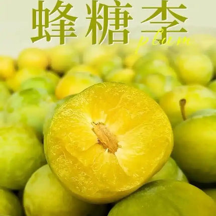 汉源蜂糖李新鲜当季水果李子界天花板精品大果整箱净重5斤