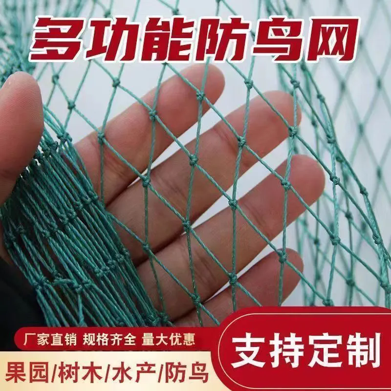 养殖网养鸡网尼龙网防鸟网爬藤网农田网片蔬菜户外家禽大棚安全网