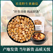 青海祁连山野生草原小黄蘑菇天然钉子菇煲汤炖鸡雪山香菇 包邮 菌类