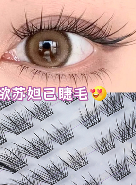 假睫毛大容量女分段自然仿真中式国风苏妲己狐系兔系猫系眼睫毛