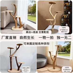 实木猫爬架自然生长纯手工不占地猫窝一体猫树一体猫架子赠送配件