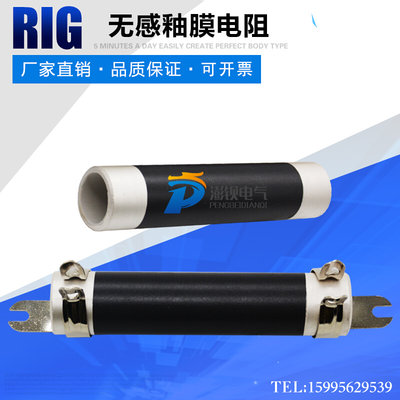 RI-5无感釉膜电阻 高频阳极栅极防振电阻100W5R10R20R30R33R50欧
