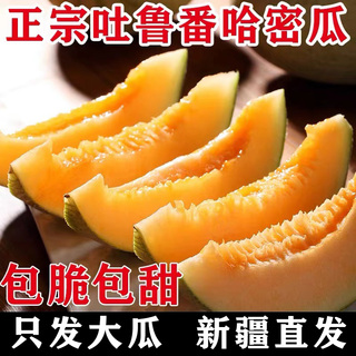 正宗新疆哈密瓜网纹蜜瓜西州蜜25号吐鲁番应季水果新鲜一箱包邮