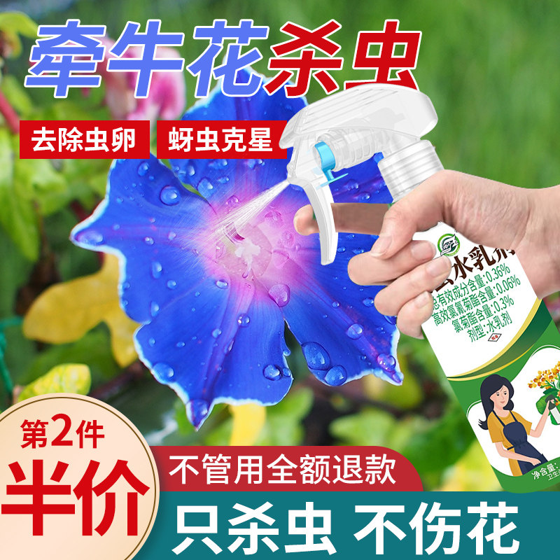 牵牛花杀虫剂花卉植物土壤灭盆栽小飞虫药蚧壳虫蚜虫打虫家用治虫