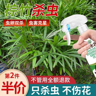 【棕竹杀虫剂】孕婴家庭适用