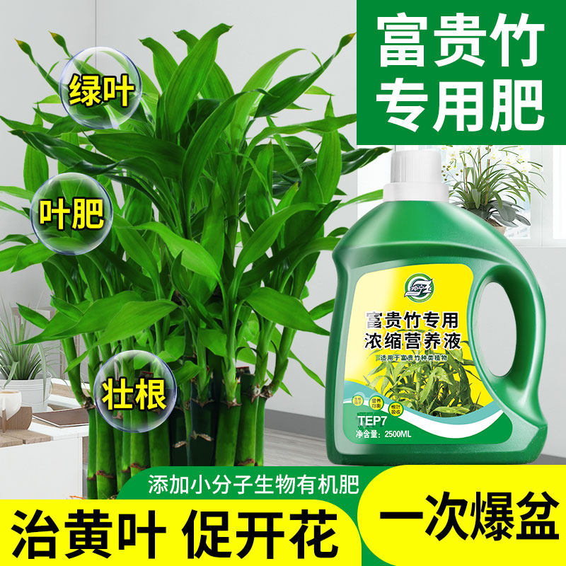 富贵竹专用营养液植物肥家用浓缩盆栽有机肥料通用型生长坐果期瓜