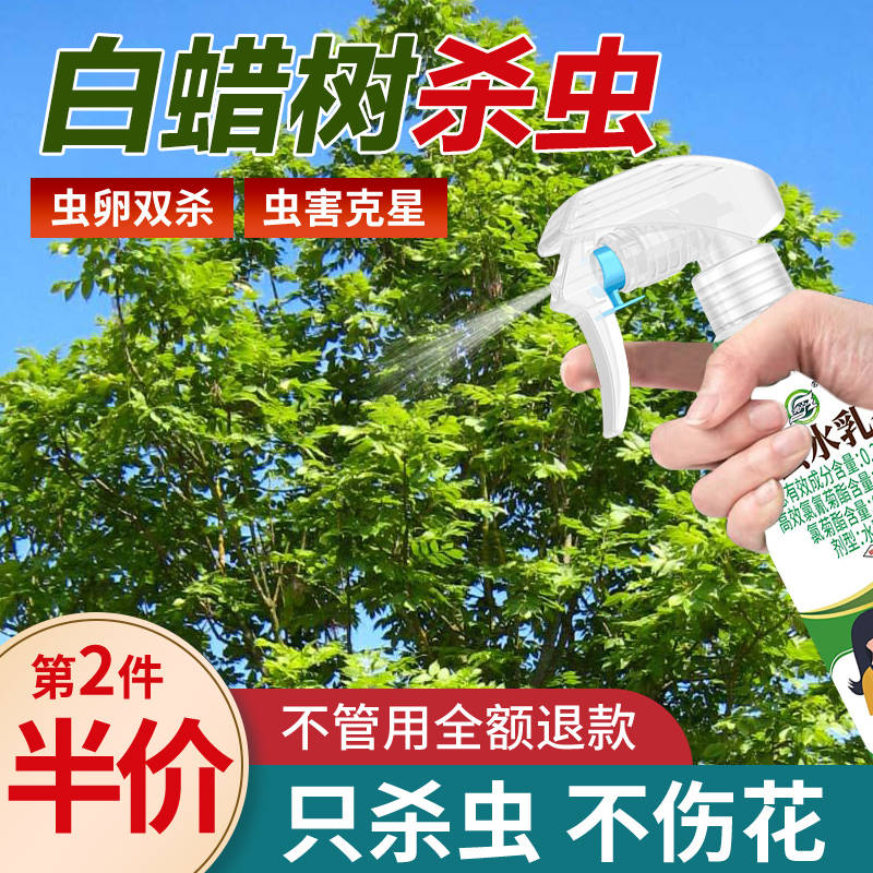 白蜡树杀虫剂花卉植物土壤灭盆栽小飞虫药蚧壳虫蚜虫打虫家用治虫