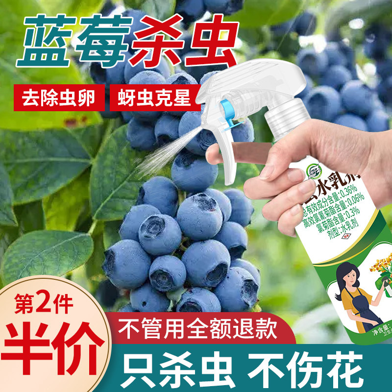 蓝莓杀虫剂花卉植物土壤灭盆栽小飞虫药蚧壳虫蚜虫打虫家用治虫