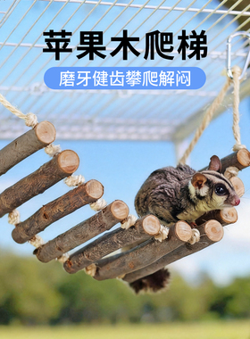 蜜袋鼯苹果木秋千云梯蜜袋鼬吊桥软梯飞鼠攀爬锻炼笼内游乐神器