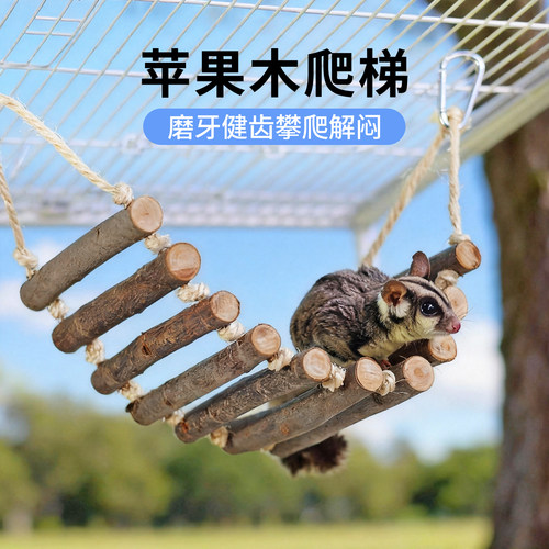 蜜袋鼯苹果木秋千云梯蜜袋鼬吊桥软梯飞鼠攀爬锻炼笼内游乐神器