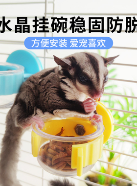 蜜袋鼯仓鼠喂食器喂水器花枝松鼠挂碗笼子饲养箱造景布景宠物用品