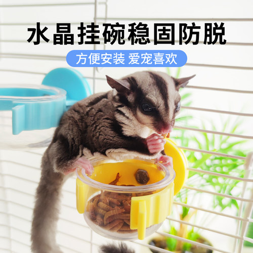 蜜袋鼯仓鼠喂食器喂水器仓鼠