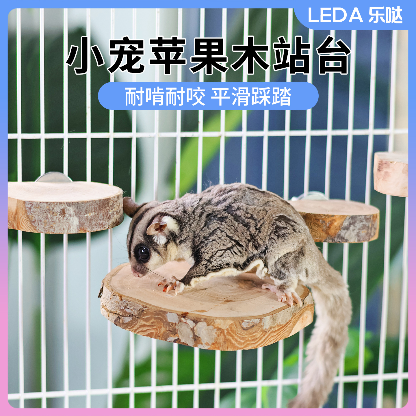 蜜袋鼯苹果木站台攀爬台阶玩具站杆站架飞鼠站台磨爪休息神器