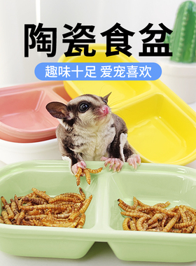 蜜袋鼯陶瓷碗防翻食盆双格吃饭碗用具喂食器用糖果色仓鼠用品大全