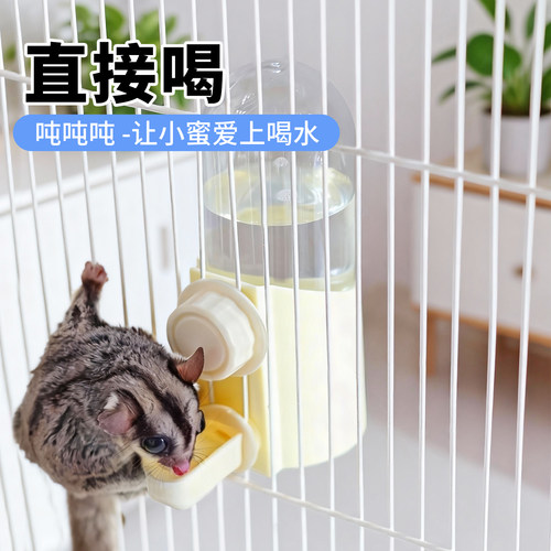 蜜袋鼯饮水器花枝鼠饮水壶仓鼠金丝熊飞鼠喂水器喝水器直饮水壶