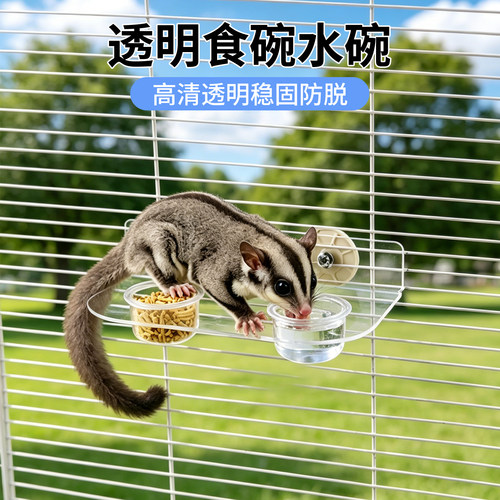 蜜袋鼯亚克力平台喂食器喂水器小宠攀爬透明平台玩耍平台食盆水盆