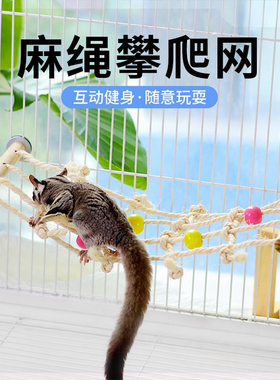蜜袋鼯夏季吊床凉床冰感面料降温解暑饲养笼造景布景趣味宠物用品