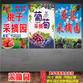 桃子采摘园葡萄采摘蓝莓采摘采摘园广告贴纸自粘喷绘布定制广告