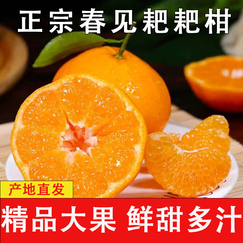 正宗四川春见耙耙柑新鲜水果当季整箱蜜橘子特级粑粑柑橘子8整箱,水产肉类/新鲜蔬果/熟食,桔子,淘宝优惠券,粉丝福利购,淘宝优惠卷