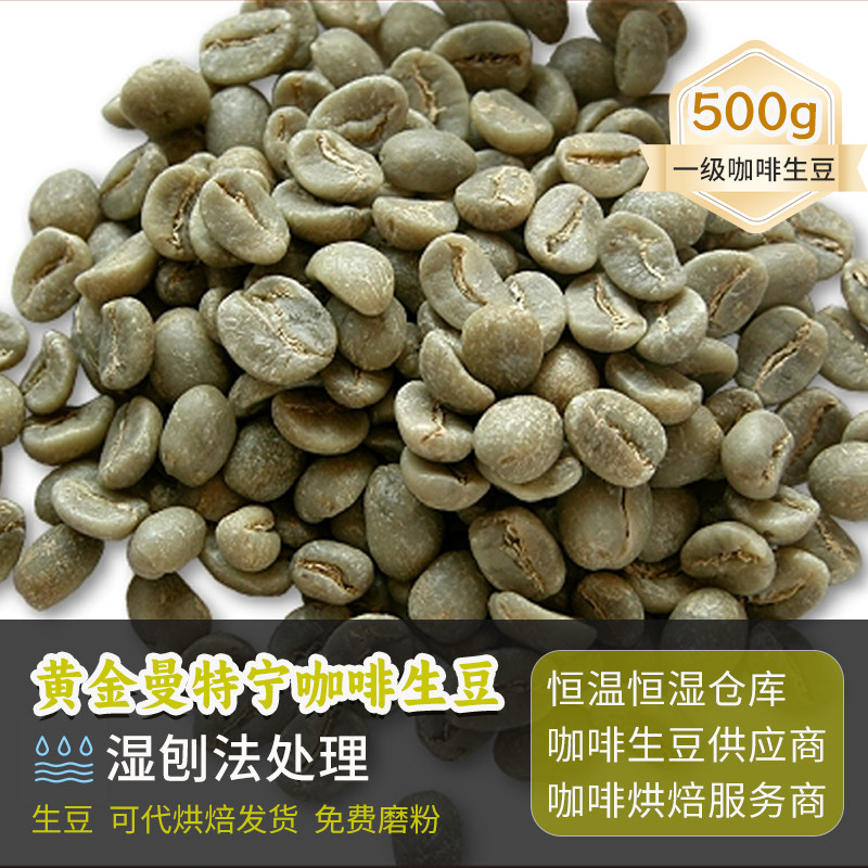 苏门答腊黄金曼特宁湿刨处理咖啡生豆可烘焙新产季精品生豆 500g