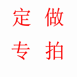 定制专业生产链接专拍