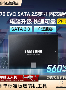 三星870 EVO固态硬盘250G笔记本台式机电脑2.5英寸SATA3.0接口SSD