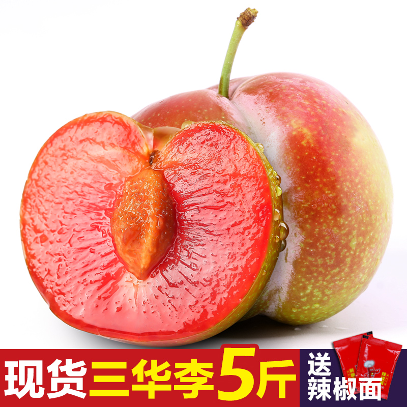 李憲強著