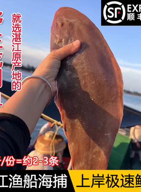 大龙舌鱼 新鲜 冷冻水产鲜活深海鱼龙利鱼湛江海鲜特产宝宝辅食材