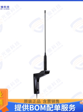 WM.95.A.305111 射频元件CYCLOPS 915MHZ WALL MOUNT FLEXIB