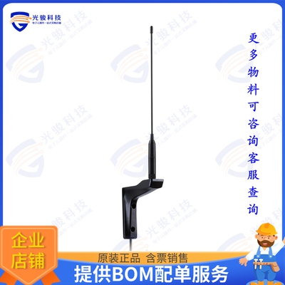 WM.95.A.305111 射频元件CYCLOPS 915MHZ WALL MOUNT FLEXIB