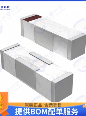 2450AT42B0100001E 射频元件RF ANT 2.4GHZ CHIP SOLDER SMD