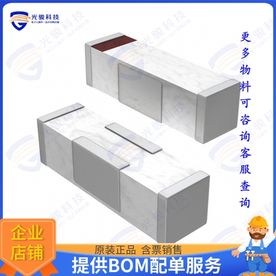 2450AT42B0100001E 射频元件RF ANT 2.4GHZ CHIP SOLDER SMD