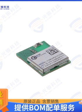 CSB04PA10-CHP-N 射频元件RF TXRX MOD 802.15.4 BT CHIP SMD