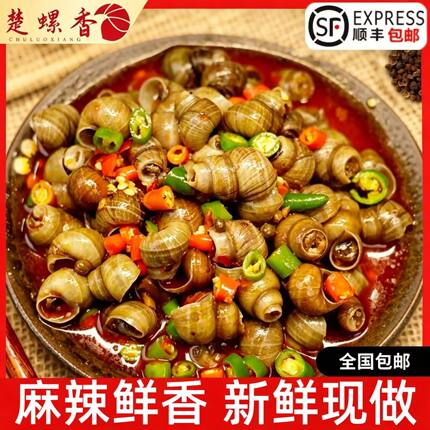 楚螺香麻辣田螺下酒菜冷冻半成品整箱500g香辣螺丝即食螺蛳烧烤