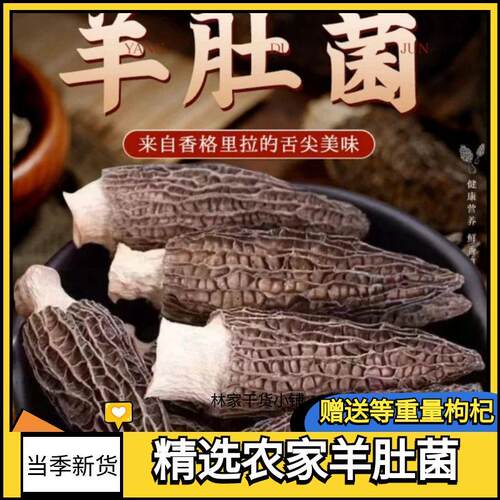 上海发货】羊肚菌干货云南食用菌精选新鲜特产干蘑菇煲汤食材批发