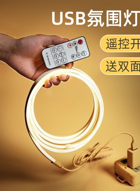 5v智能语音无极调光床头灯带氛围灯镜前自粘usb霓虹硅胶led灯条
