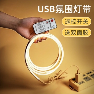 5v智能語(yǔ)音無(wú)極調(diào)光床頭燈帶氛圍燈鏡前自粘usb霓虹硅膠led燈條