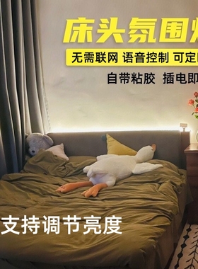 220V语音调光LED灯带卧室床头氛围灯客厅背景墙灯条主卧床边灯带