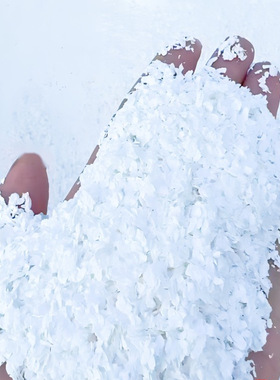 聚醚砜细粉PES粉末耐高温聚苯醚树脂原粉苏威巴斯夫E6020P E2010