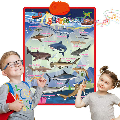 跨境出口英文学习鲨鱼名称有声挂图百科知识益智玩具趣味儿童学习