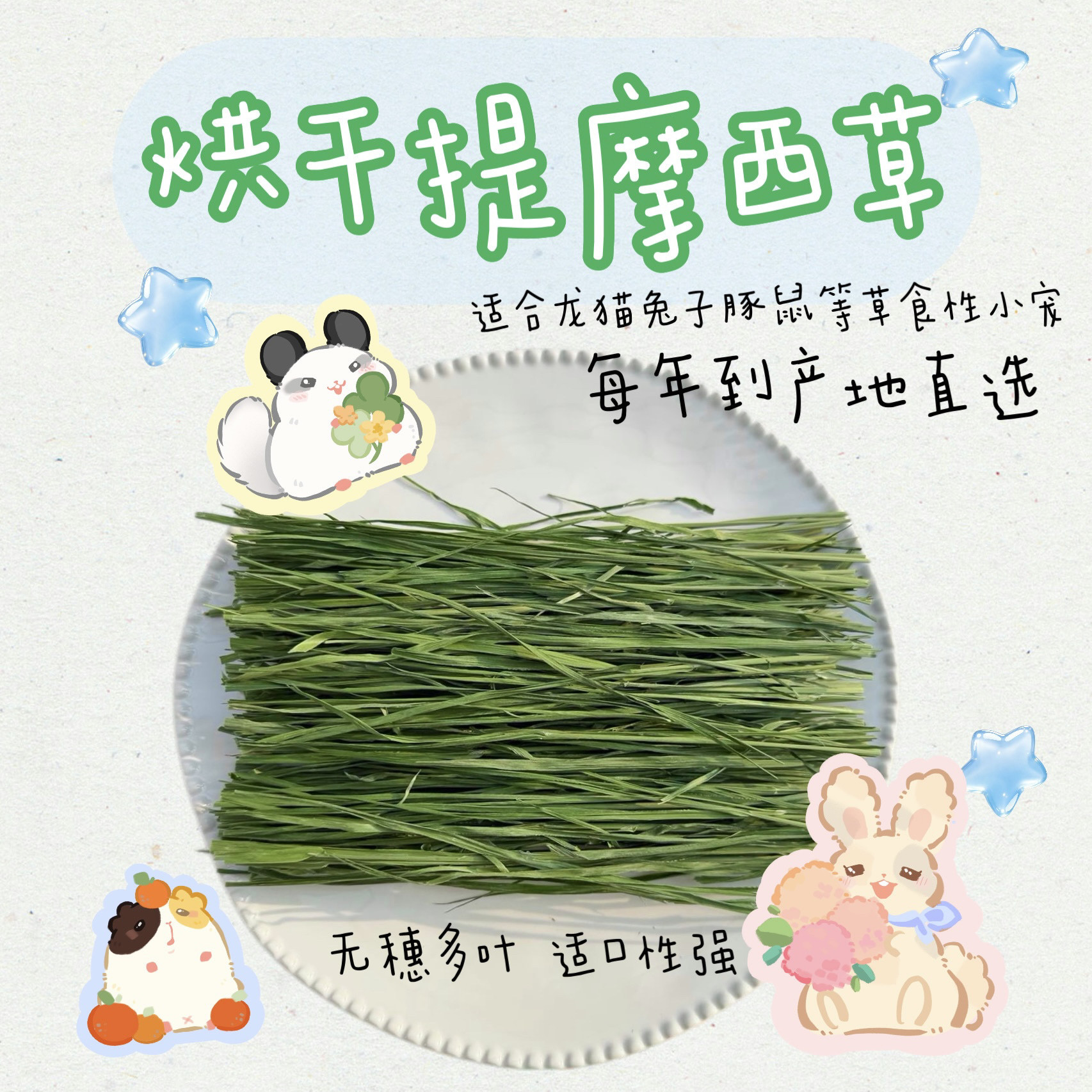 特级烘干龙猫兔子豚鼠提摩西主草
