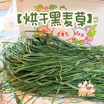 本店烘干黑麦草兔子龙猫豚鼠荷兰猪 叶多杆少增强体质钙磷均衡